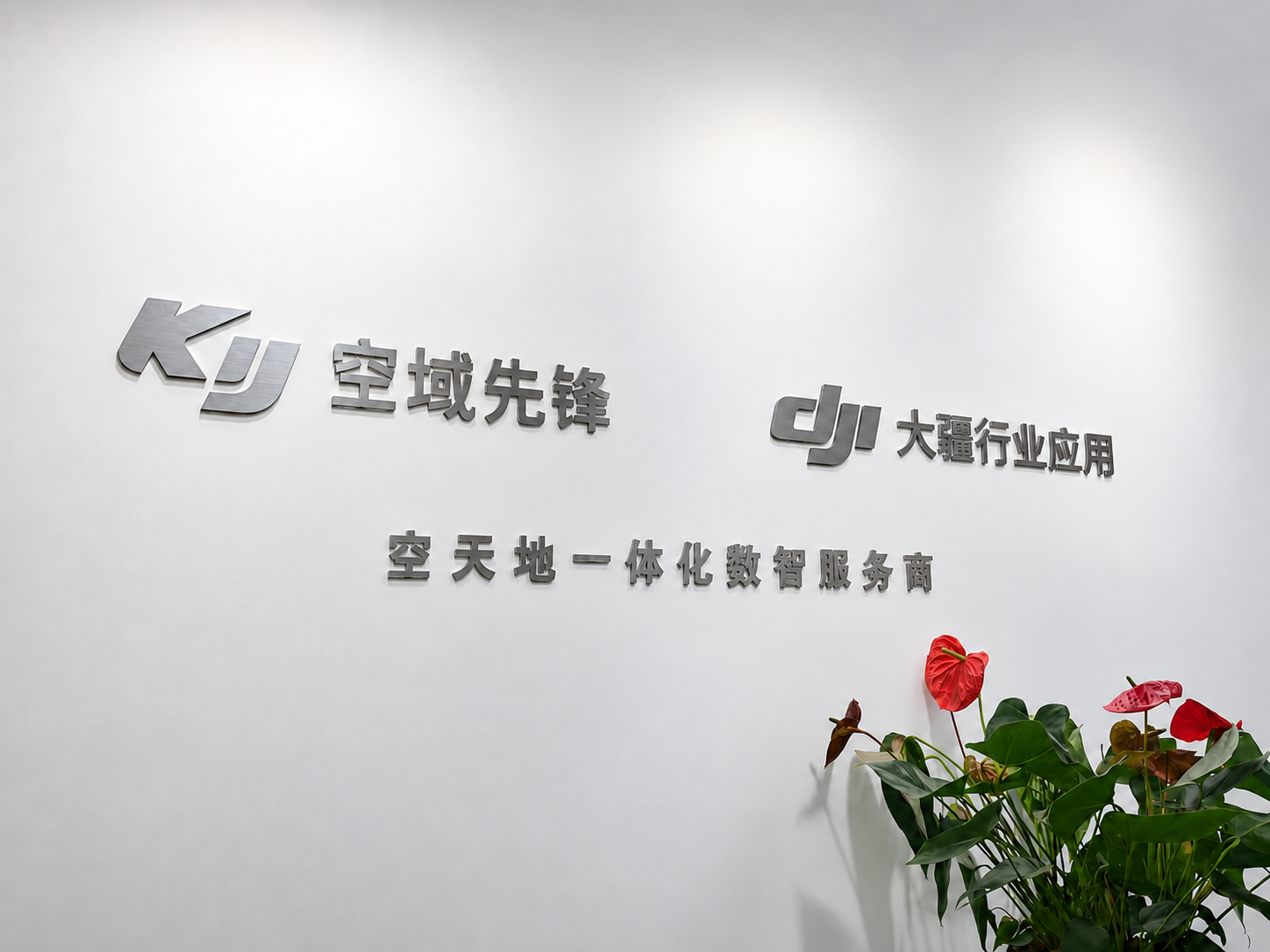 公司动态
